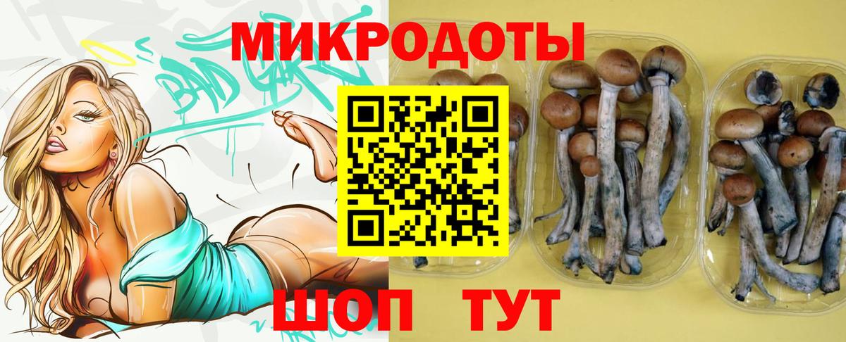 Галлюциногенные грибы Psilocybe  Псилоцибиновые грибы мухоморы  Вход с VPN  Ефремов 